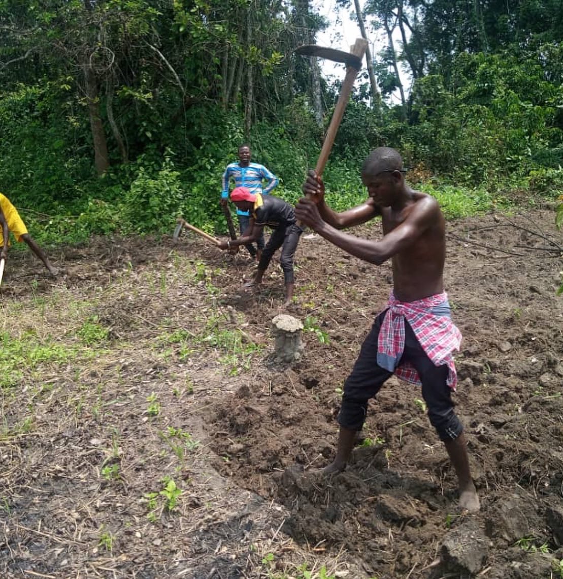 AJLPCA's tweet photo. De la théorie à la pratique, après quelques pas! 💪🏾 Si on vous demande d’imager la détermination de la jeunesse #Centrafrique-caine…
@RadioNdekeLuka @sewaspace @les2AA @WHHCentrafrique @GANABOAO @UEenRCA @YALICentrafriq @FAOCentrafrique @FA_Touadera https://t.co/IXjhSsB3NW