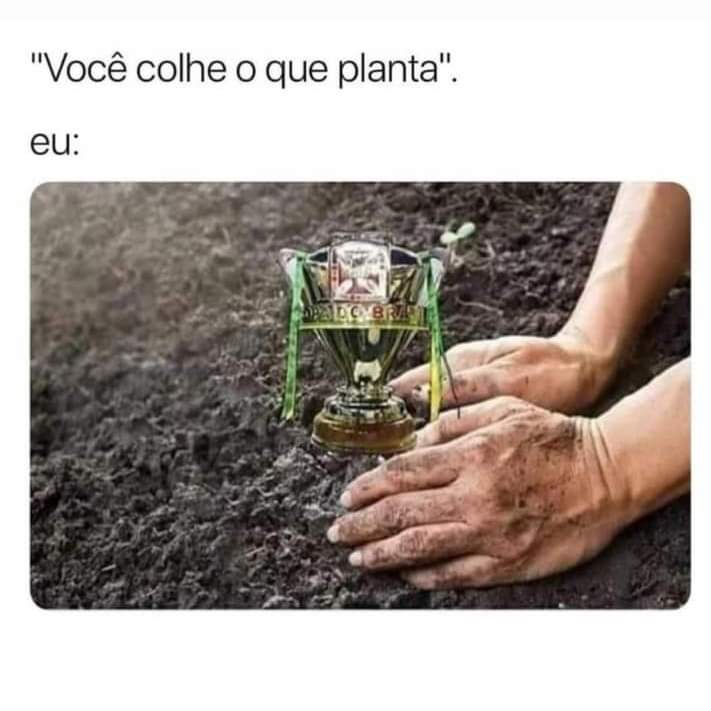 somosaopaulinos's tweet photo. https://t.co/4Wtg3WSQKT