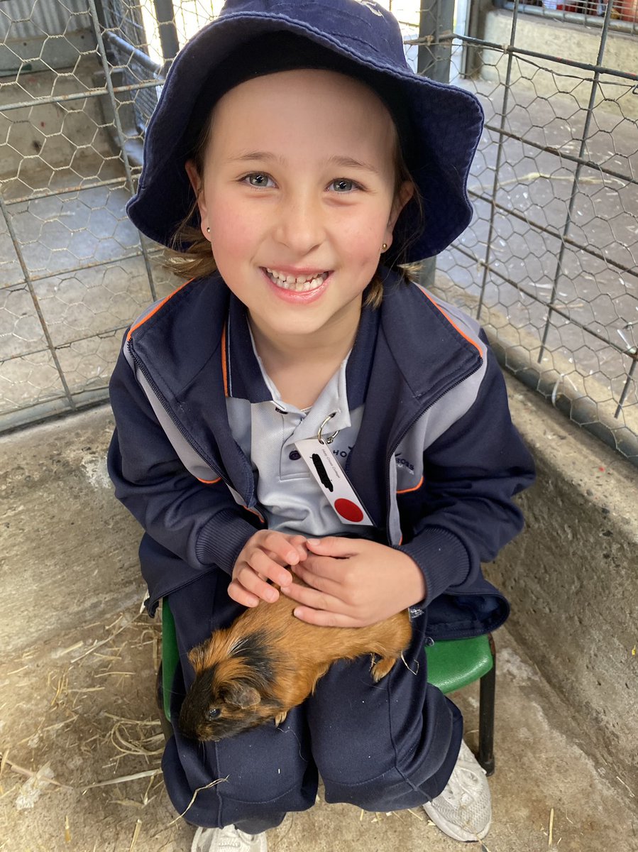 AislingPForbes's tweet photo. Year 2 had an a-MOO-zing time at Landsdale Farm. We love LIFE Week! #HCCEllenbrook https://t.co/RkVwfmUQrG