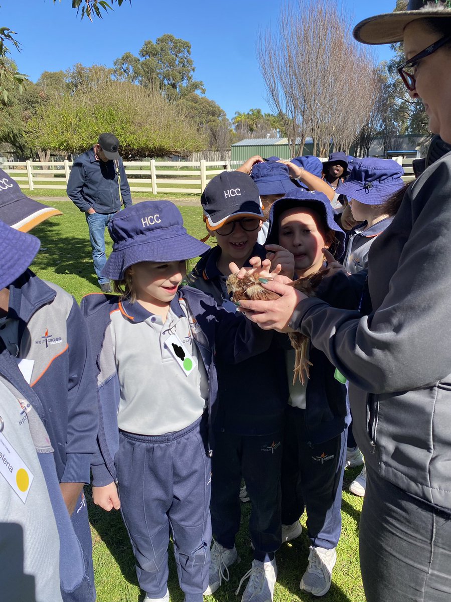 AislingPForbes's tweet photo. Year 2 had an a-MOO-zing time at Landsdale Farm. We love LIFE Week! #HCCEllenbrook https://t.co/RkVwfmUQrG