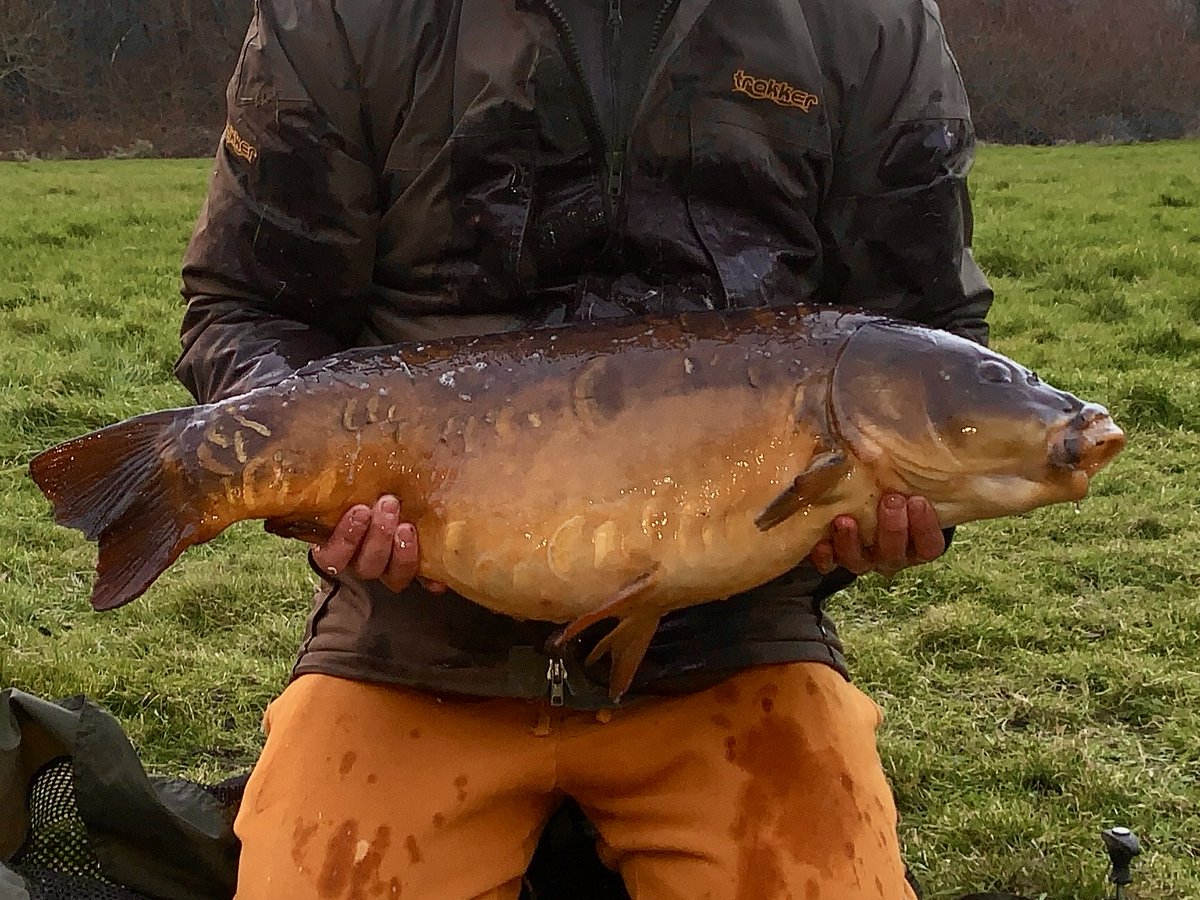 AaronKe39988631's tweet photo. Throwback, at 25lb and once’s caught in February. #Nashbaits #Scopexsquid https://t.co/pGPLwObvcm