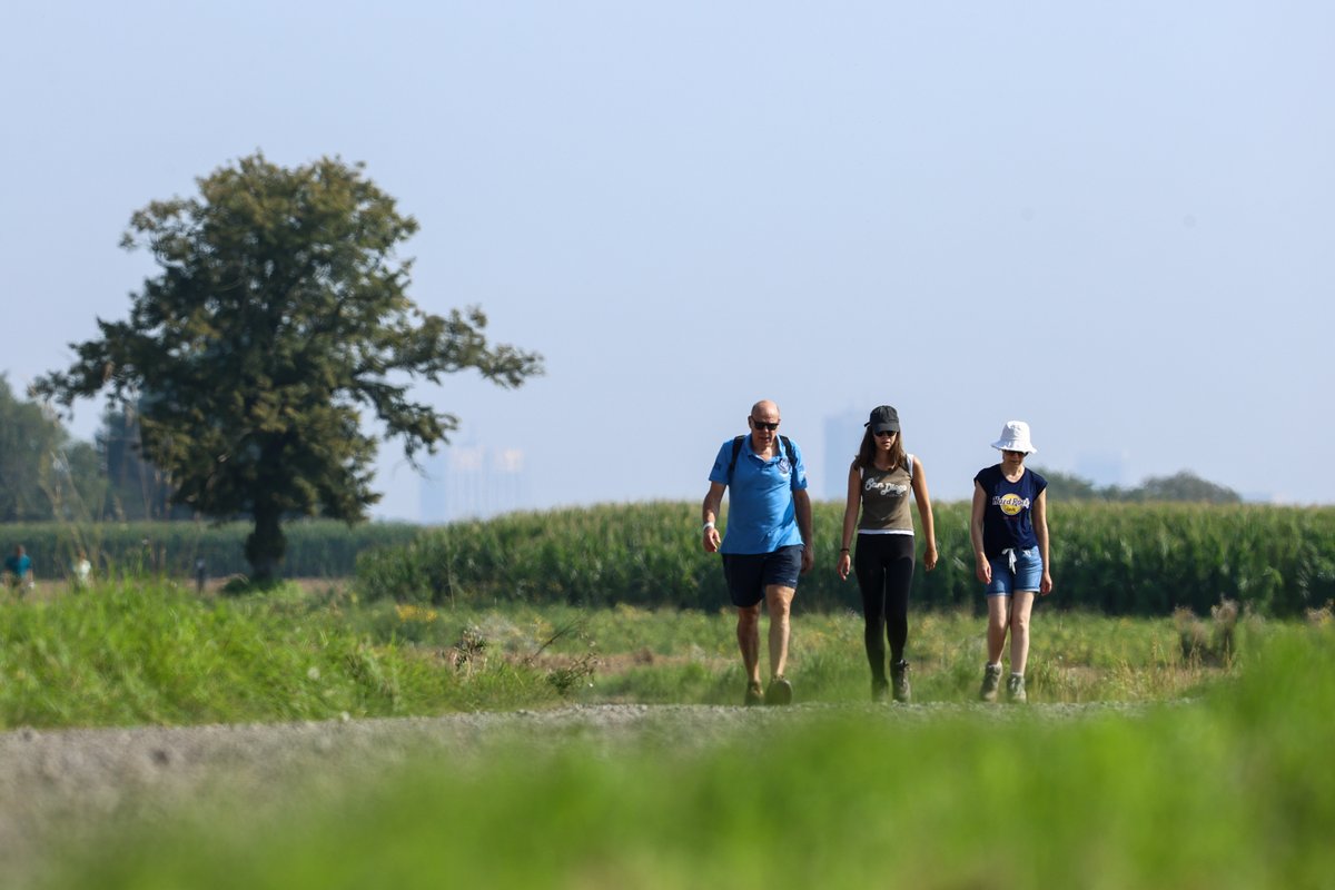 De Gordel maakt de groene Rand nog groener ringtv.be/nieuws/de-gord…