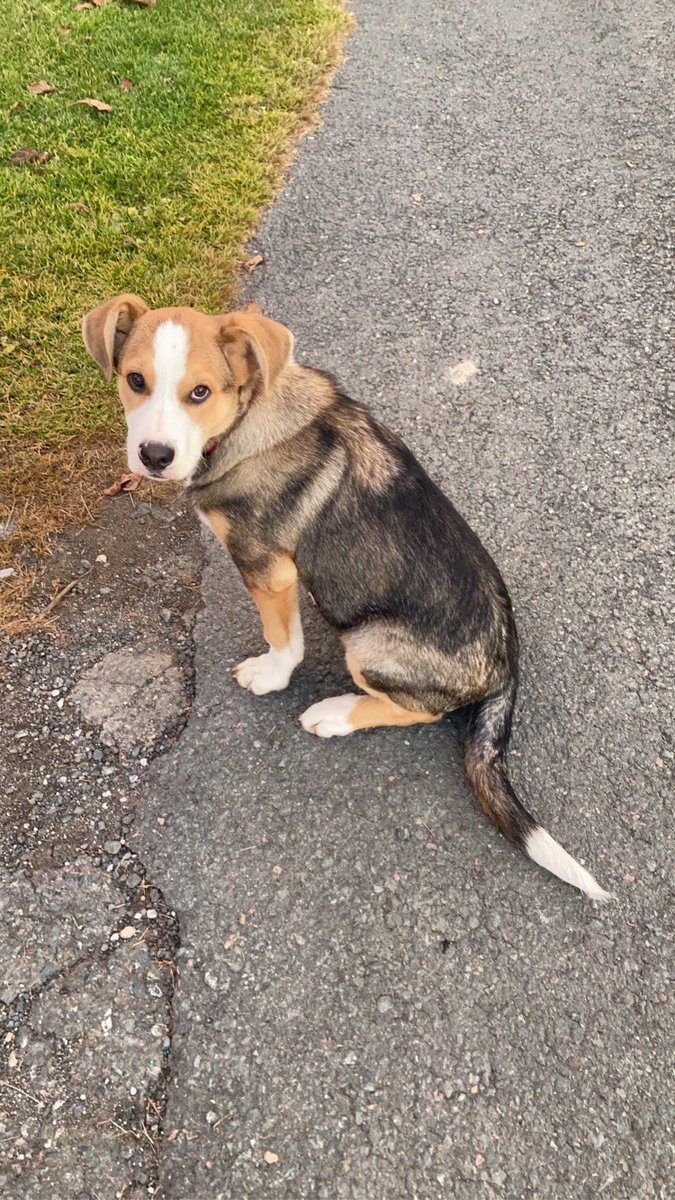 Patrick 🇦🇹 tweet media