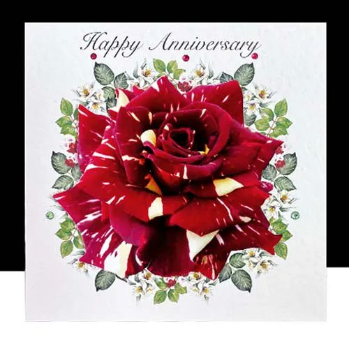 Decorque Cards tweet media