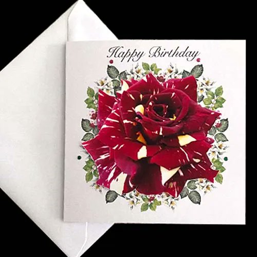 Decorque Cards tweet media