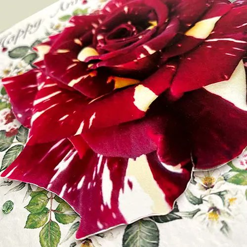 Decorque Cards tweet media