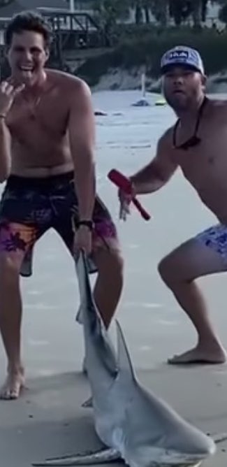 MrDuarteGrilo's tweet photo. Let’s find These mf… make them famous!!! The same treatment for them!!! #helpmefindthem #sharkkillers #stupidpeople https://t.co/Msfq9dkYZb