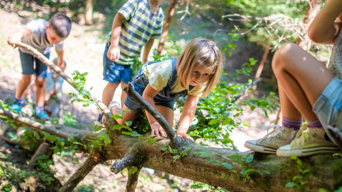 Learning through Landscapes tweet media