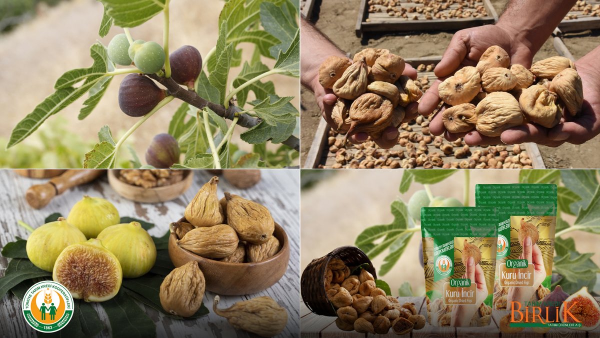 Yetiştirdikleri incir meyvelerini titizlik ve özen içerisinde kurutan çiftçilerimizden temin ettiğimiz, sağlıklı öğünlerinizin müdavimi #TarımKredi Kuru İnciri afiyetle tüketebilirsiniz. #Tarım