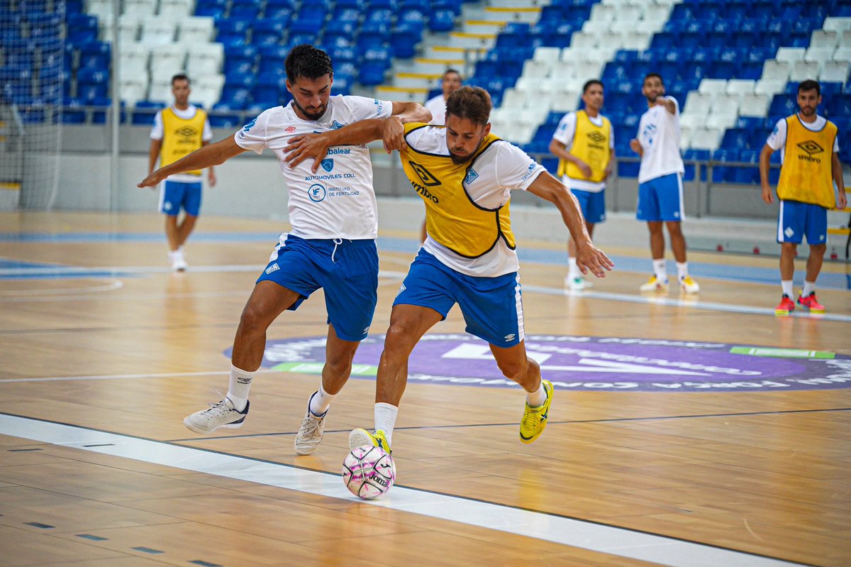 PalmaFutsal's tweet photo. โ
๐ณ๐๐๐๐๐ para el primer partido de la ๐๐๐๐๐๐๐๐๐๐๐
๐
#Tutambรฉjugues
#SOMPalma
#ADNPalmaFutsal
#EuroPalma
#GOPalma
#PalmaFutsal2023 https://t.co/GznFQDx6wl