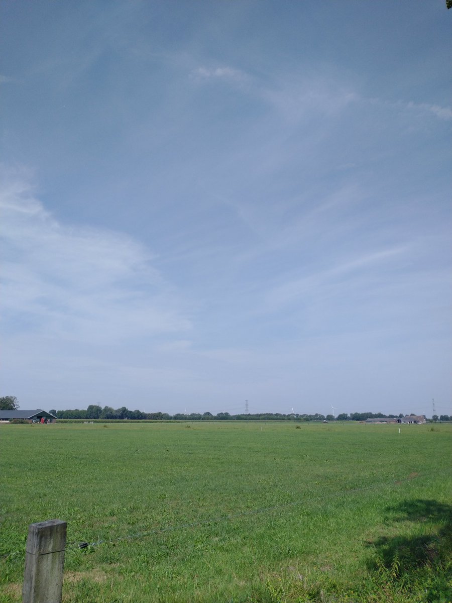 Cor10792734's tweet photo. Giftige kerosine dampen in de lucht, bloedheet, en kilometers 'leeg' raaigras . Goh, waar komt dat stikstofprobleem toch vandaan. ๐ด #ditmoetanders #krimpluchtvaart #kerosineKills #waarzijndebloemen #biodiversteit ๐๐๐ฆ๐ #stikstof #klimaatcrisis #droogte ๐๐ฅ๐ฅ https://t.co/RYyhzXBAMi