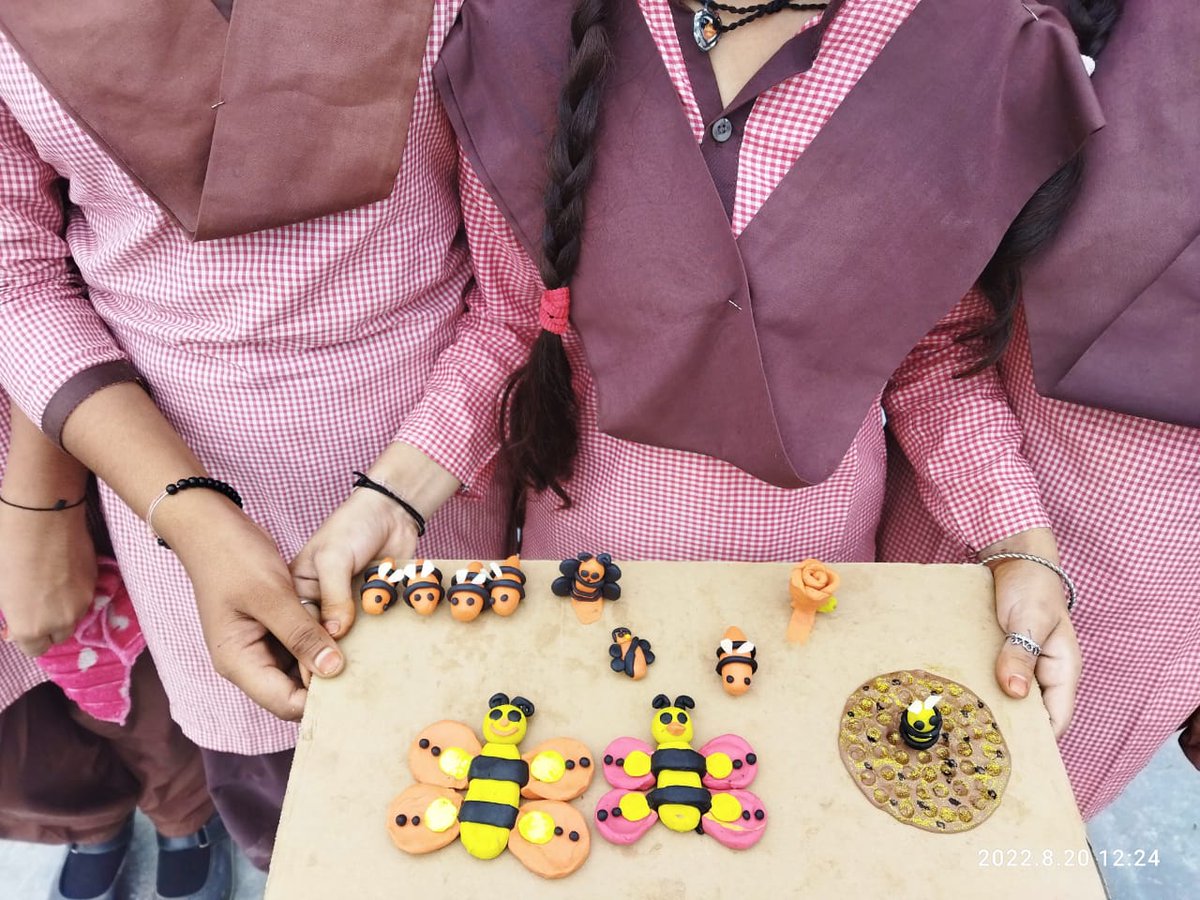 GEAG_India's tweet photo. Celebrating #NationalHoneyBeeDay! 🐝🐝

At Junior high school Jalpura #GautamBudhNagar  

Students #SupportTheBees &amp; appreciate how #bees essential for #food production, help preserve #biological #diversityand ecosystems flourish.

#ProtectPollinators 

@HCLHarit
@HCL_Foundation https://t.co/sQWPVev1rx