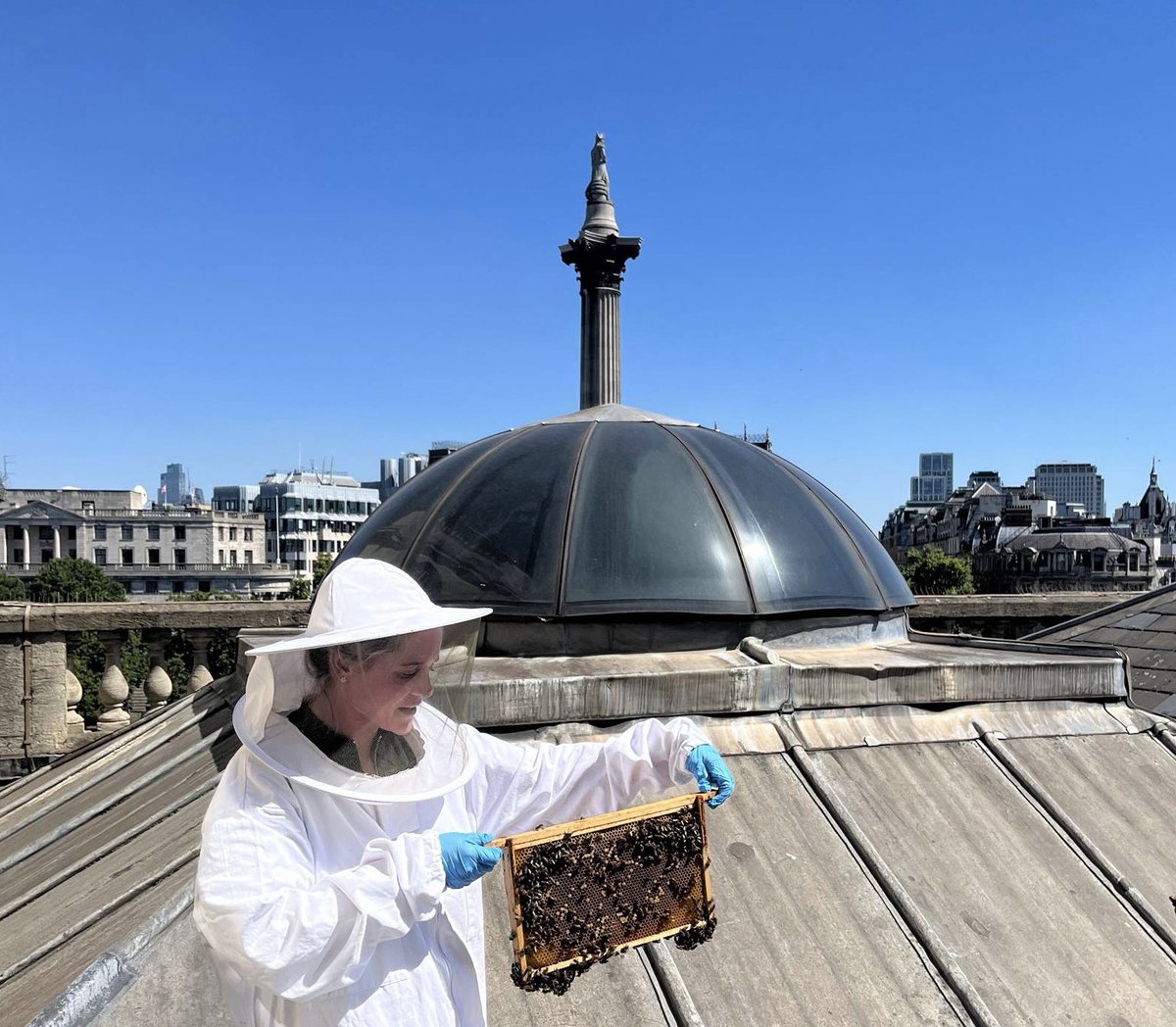 Removing my #education hat momentarily to don a #beeveil. 🌸 

DYK the <a href="/CanadianUK/">CanadianUK</a> rooftop is also home to #apiaries? They have the best view in 🇬🇧!

Thanks <a href="/alveolebuzz/">Alvéole</a> for helping us keep thousands of bees healthy. Last week we 👀 several bees emerge from wax shells! 🐝