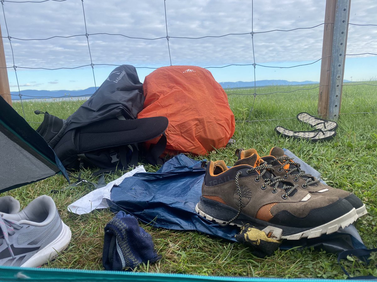 Deutsche Bonk Investors tweet media