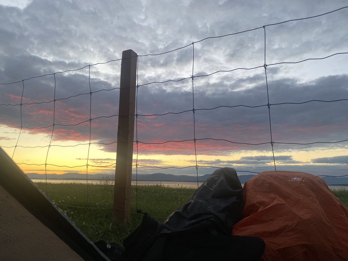 Deutsche Bonk Investors tweet media