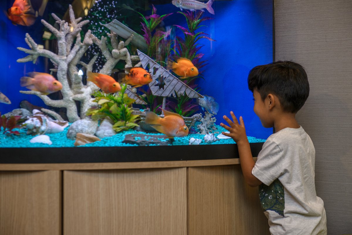 UNIVERSITY_DIAG's tweet photo. Got to love our #patient #Feedback! 

It's a fish-eat-fish world out there! 🐟🐠

#fishlivesmatter #fish https://t.co/YAySw7PhBy