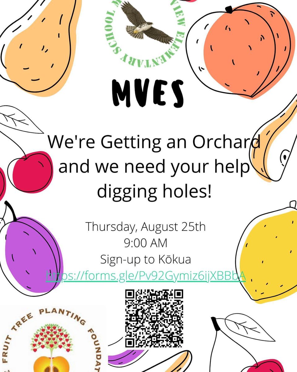 Sean Hanohano tweet media