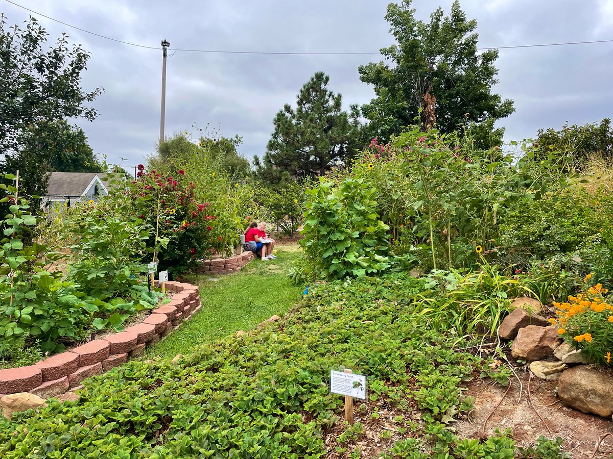 bulldoggarden's tweet photo. Observing seasonality in the #schoolgarden. Journaling about our warm season crops. Thinking about warm vs cool season crops, different characteristics of both seasonβs plants, how the 2 growing seasons relate to natureβs 4 seasons #zone7a #outdoorclassroom #science @OKCBeautiful https://t.co/5Dag9IKQsG