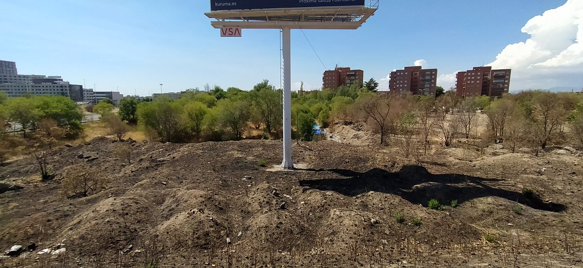 Limpieza del entorno de La Malmea.
Ahora falta eliminar y realojar el poblado chabolista para evitar los incendios y la acumulación de basura y enseres.