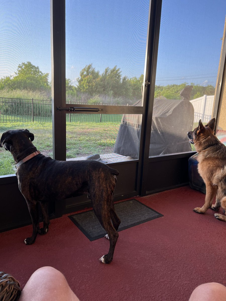 <a href="/1abbeynormal/">SouthernBellePatriot ❤️ 🇺🇸</a> Theses guys loving it daddy home all the time haha.