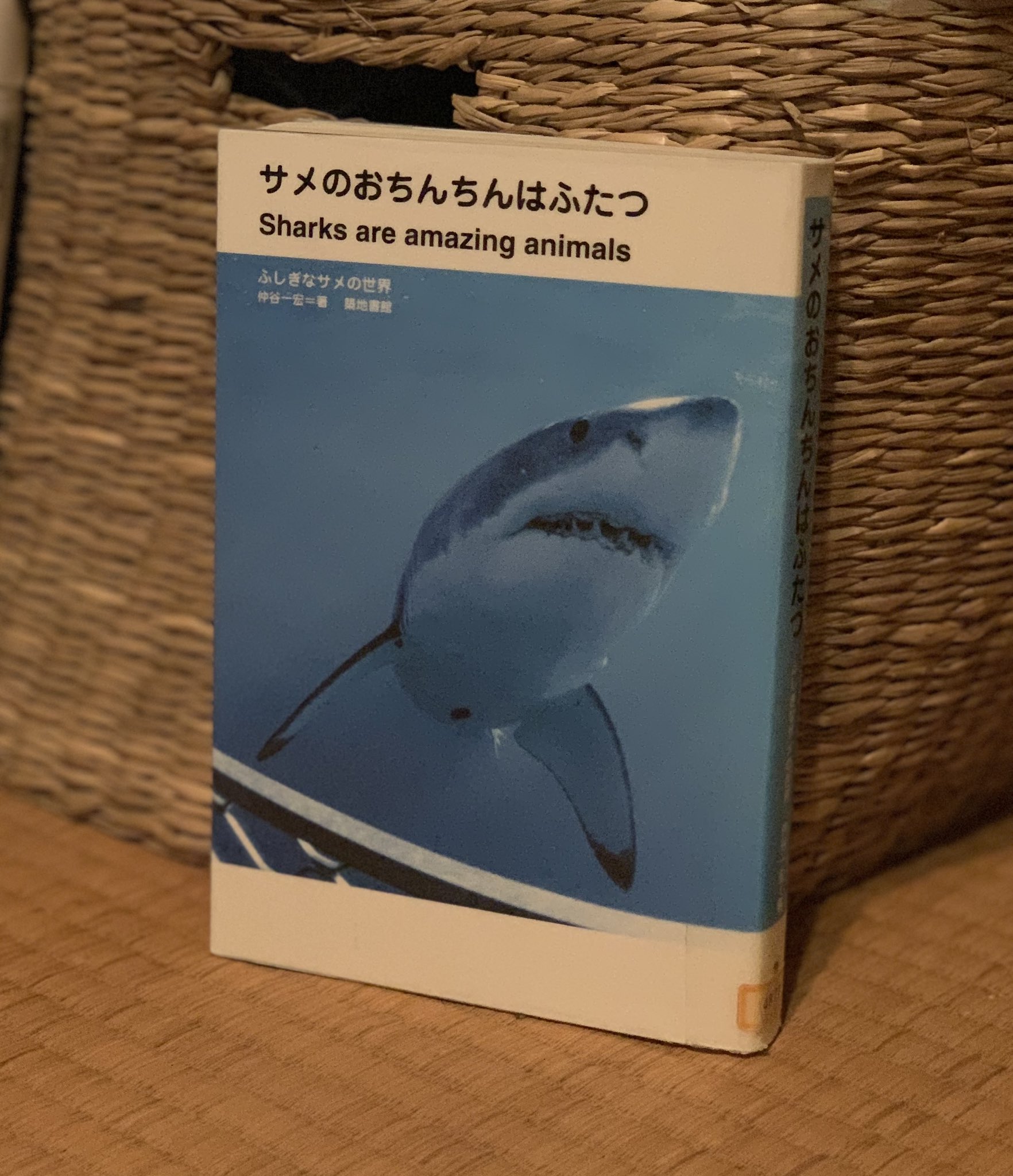えりちん　サメ　オーダー Amazon.co.jp: “fish&fancy”全長70cm！超リアル ホホジロザメ