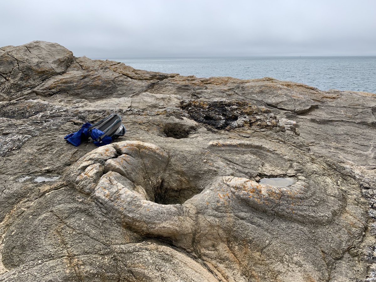 Today’s little adventure on the Isle of Purbeck. Dozens of stromatolites, literally billions of ostracods, calcitised evaporites, paleosols, and much more. A grand day out. #wgcgontour