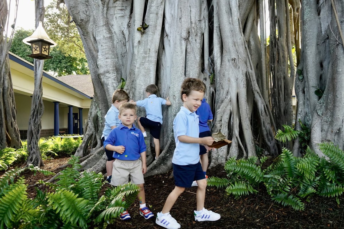 BenjaminBucs's tweet photo. Fun morning exploring the outdoors around the Banyan trees for children in our WOW Program #bucsareback #ihearttbs https://t.co/cyLs3xXAK4