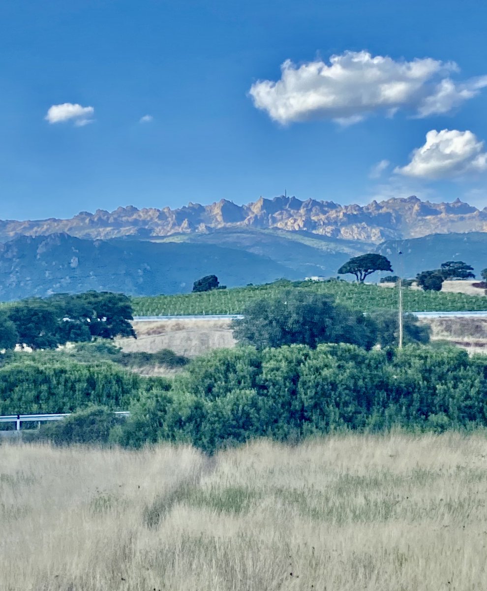 TLtravelwriter's tweet photo. Sardinien im Sommer mal anders #berchidda #gallura #limbara @SardegnaTurismo @Italia_deu #August #BergeundWein https://t.co/iLD3nLZwPY