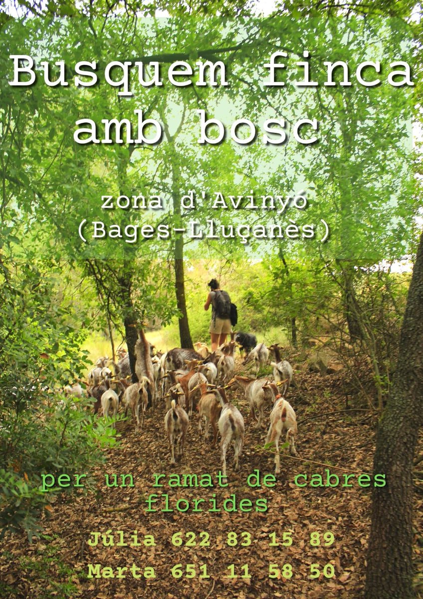 Vinga va!!!!
A veure si començen a sortir aquestes finques deixades de la mà de déu de Diputació, bisbat i o privades. Ja em crema com el foc això de sentir parlar d'incendis, mosaic agrari,relleu generacional i blabla bla....