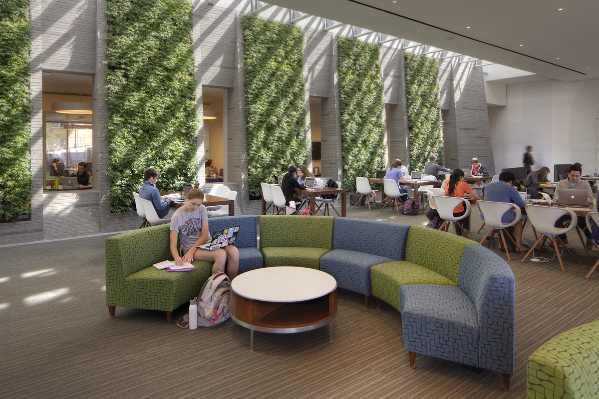 Bringing life to educational spaces.
📍Georgetown Student center, Washington DC
🌱Versa Wall®
👉The 828 square foot vertical garden is filled with 5,000 plants filters and purifies the air, allowing students to breathe easy
#biophilia #greenwalls #architecture #design