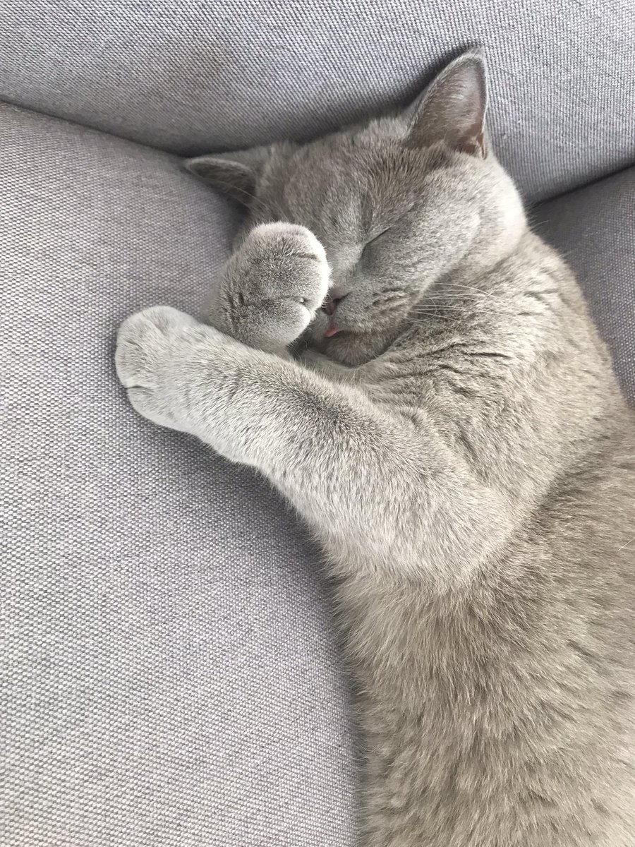 ajun abiiğ bne almanyaydan geliyoyum sise şimti bidbaks yabıcam viçuvıcudumtıstıs