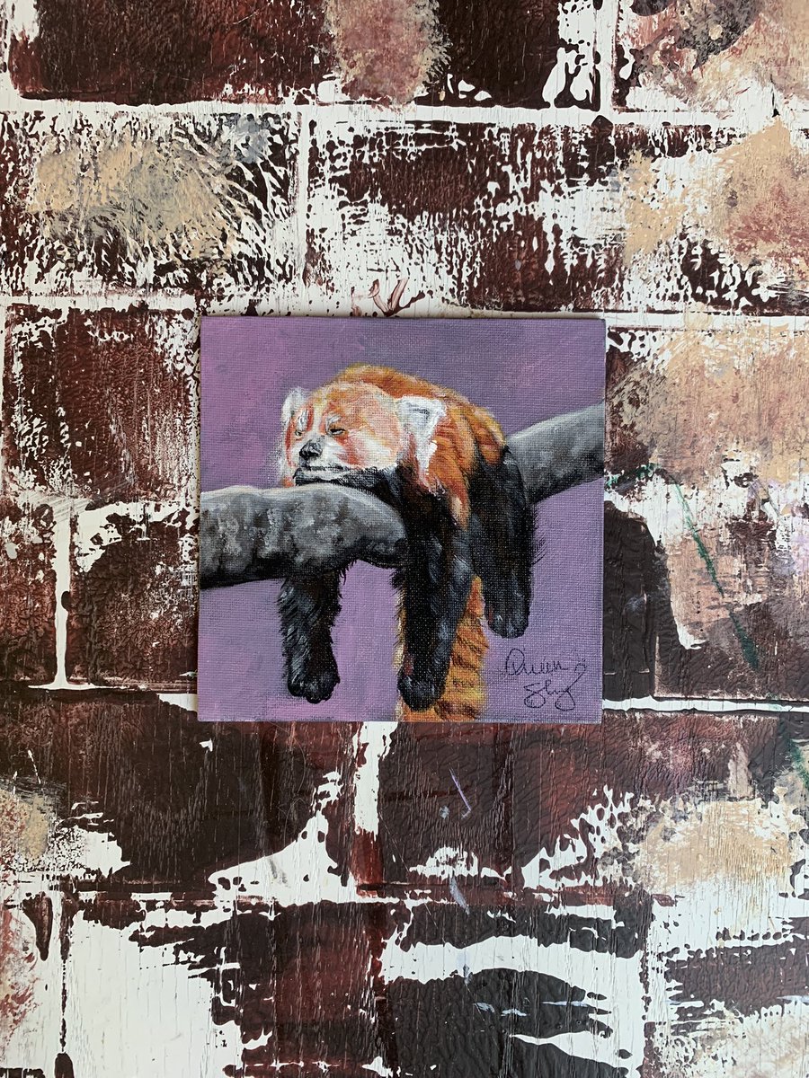#PaintingOfTheDay
Getting back on track with my Endangered Species wildlife Collection in between pet portrait commissions! Starting with a mini Red Panda 🐼. I have 3 total red panda paintings planned for the collection.

#QueenOfArts #WildlifeArtist #redpanda #animalart