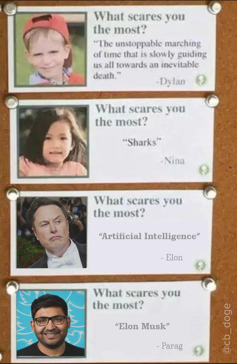 cb_doge's tweet photo. @elonmusk @paraga's biggest fear is you https://t.co/IXWaOeMzIM
