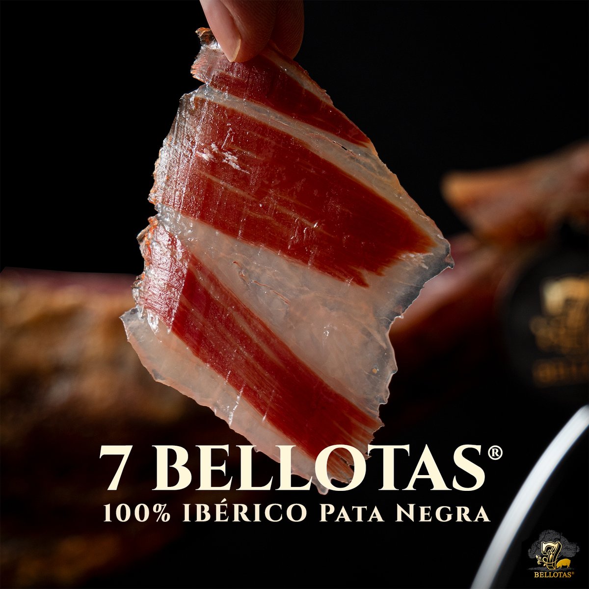 7 BELLOTAS tweet media