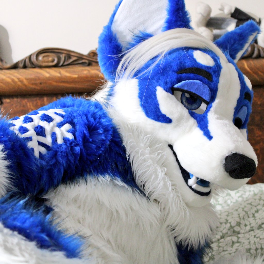 ArcticoHusky's tweet photo. https://t.co/tE9IoWOaYL