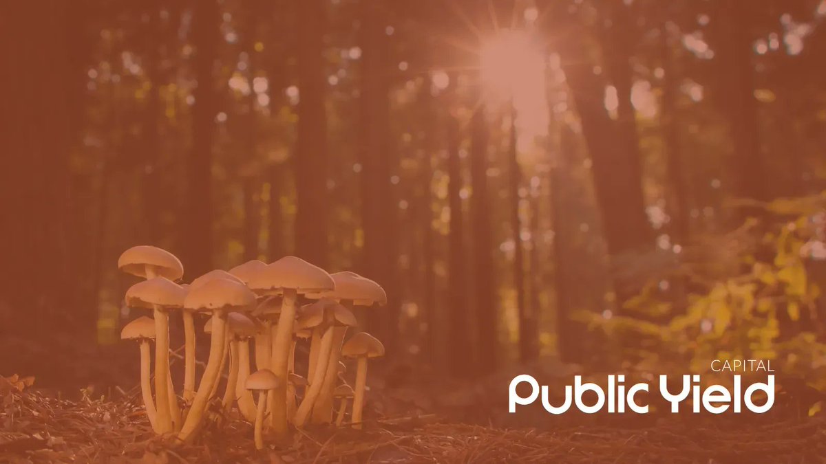 The #biotech sector, and in particular, #Psychedelics, have EXPLODED in recent years. 🍄

Increase in research and government acceptance has #investors stoked on these opportunities–and we can help you reach them.

buff.ly/3zzk1pj
