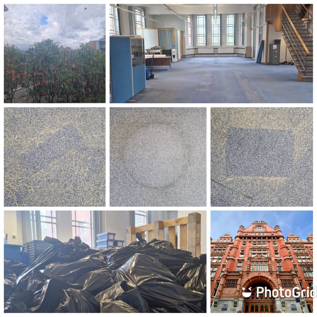 Isabel Sebastian tweet media