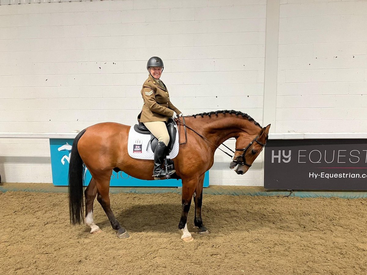 103Reg's tweet photo. Congratulations Cpl Gallagher who has recently spent three days taking part in a British Dressage show at Aintree International Equestrian Centre with the Army Dressage Team. Cpl Gallagher had a great show and came away with many rosettes
@ArmyEquiUK #ArmySport https://t.co/C0pSJd2roO