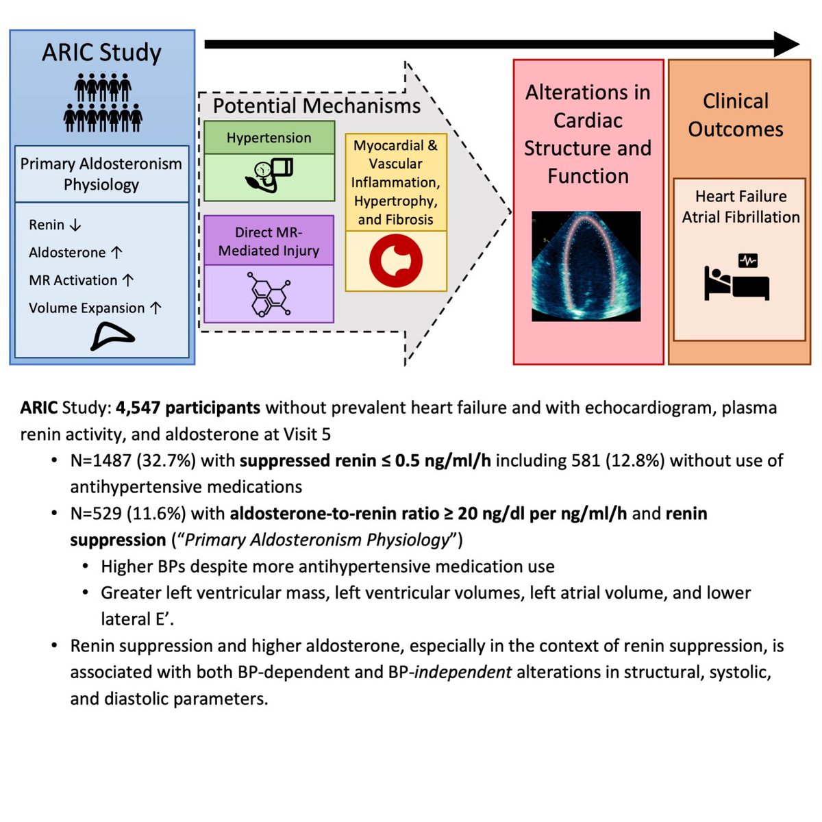 Hypertension (@hyperaha) on Twitter photo Can targeting underlying #PrimaryAldosteronism prevent cardiac remodeling? Primary aldosteronism physiology was common & associated with LV mass, LA volume, and diasto... #ARIC #BP. <a href="/JeniferBrown/">Jen Brown</a> <a href="/MagnusWijkman/">Magnus Wijkman</a> <a href="/scottdsolomon/">scottdavidsolomon</a> @anandvaidya17 <a href="/scottdsolomon/">scottdavidsolomon</a>
ahajrnls.org/3TcK8Ka Can targeting underlying #PrimaryAldosteronism prevent cardiac remodeling? Primary aldosteronism physiology was common & associated with LV mass, LA volume, and diasto... #ARIC #BP. <a href="/JeniferBrown/">Jen Brown</a> <a href="/MagnusWijkman/">Magnus Wijkman</a> <a href="/scottdsolomon/">scottdavidsolomon</a> @anandvaidya17 <a href="/scottdsolomon/">scottdavidsolomon</a>
ahajrnls.org/3TcK8Ka