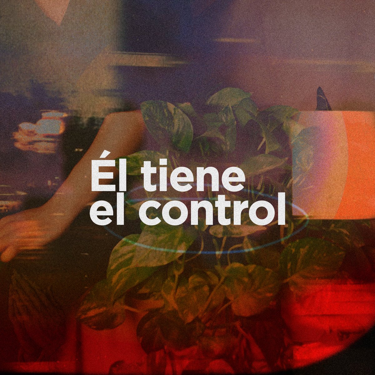 masvidatv's tweet photo. Feliz martes! https://t.co/I5Zg0c4ffY