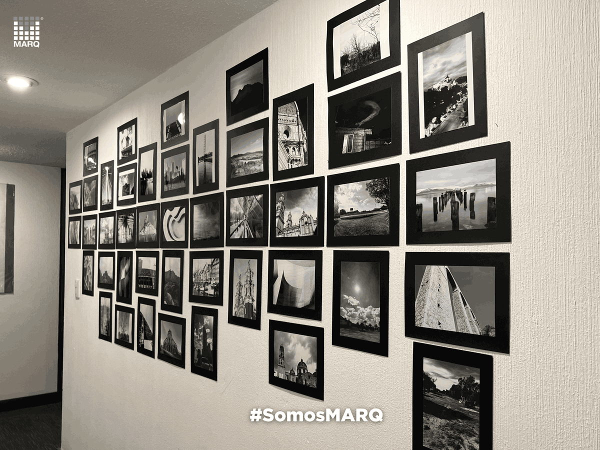 marq_mx's tweet photo. Con motivo del Día Mundial de la Fotografía 📸,  el sábado 20 de agosto se realizó una exposición de fotografías tomadas por colaboradores del equipo MARQ. Además, fue un buen momento para convivir. 

#SomosMARQ  #EquipoMARQ #DíaMundialDeLaFotografía https://t.co/Cs6J8Z5m5x