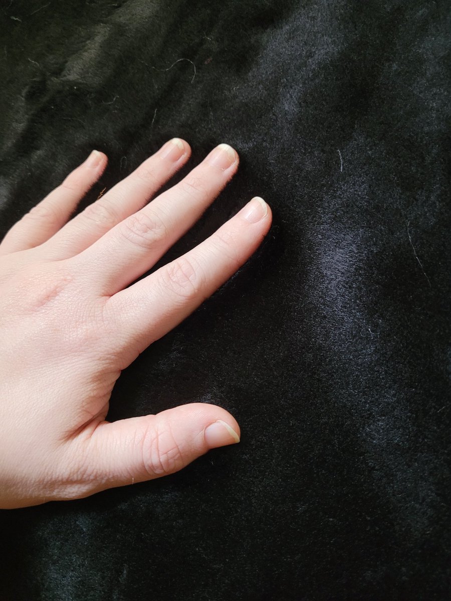 Pookauwa's tweet photo. Fur4sale https://t.co/LaIA10KvvO