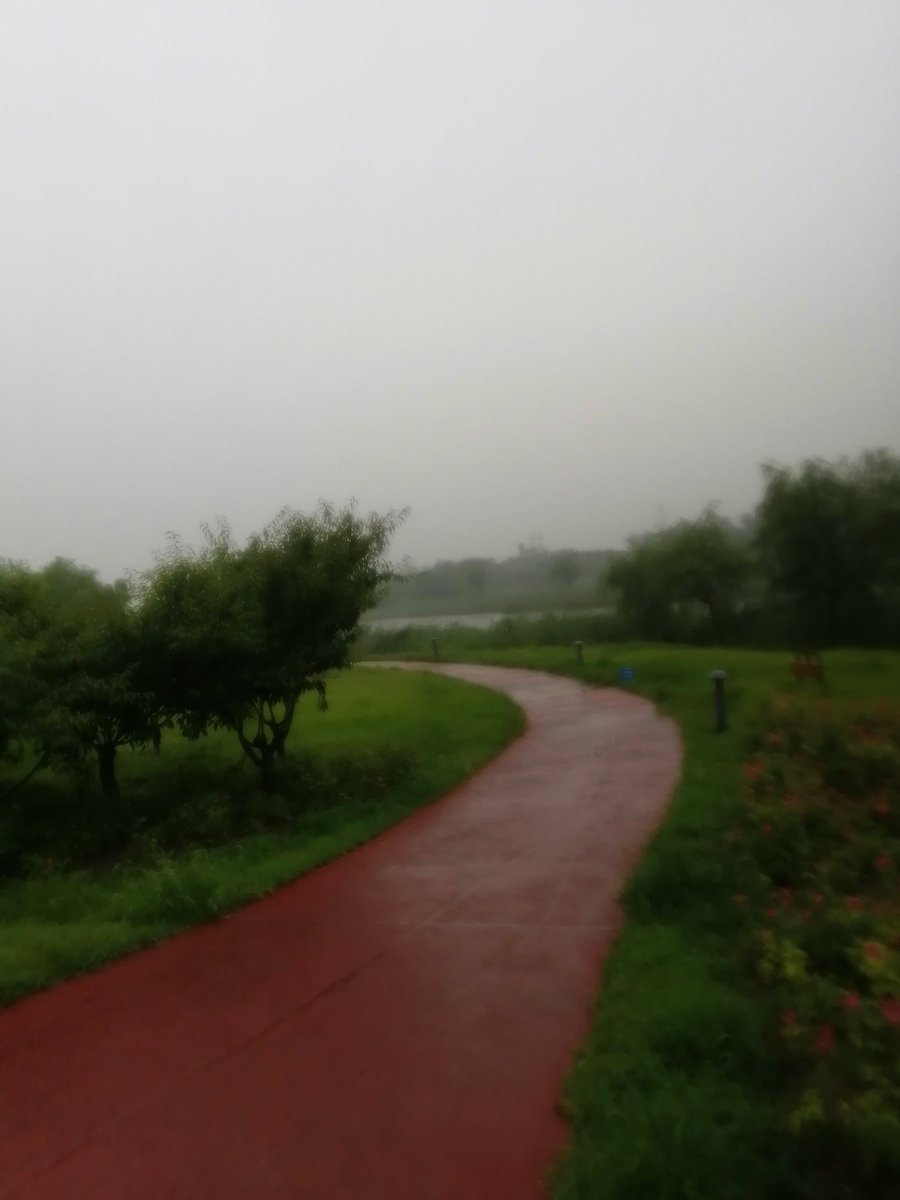 ojehe_'s tweet photo. #run #rain #july #park #afternoon https://t.co/dno9gEI6yX