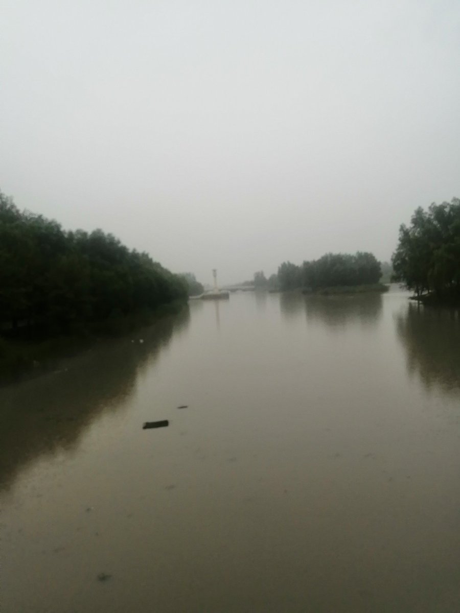 ojehe_'s tweet photo. #run #rain #july #park #afternoon https://t.co/dno9gEI6yX