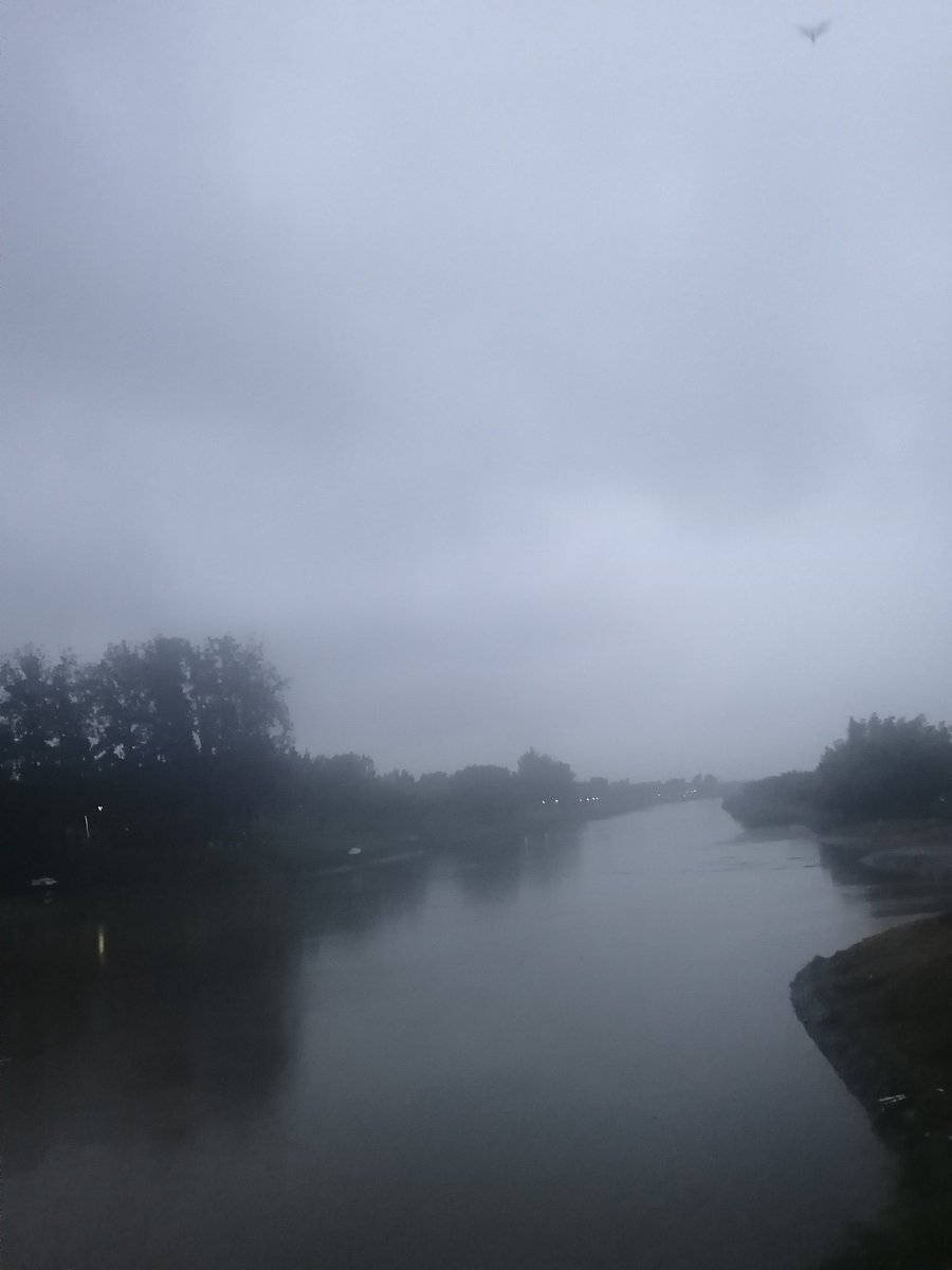 ojehe_'s tweet photo. #run #rain #july #park #afternoon https://t.co/dno9gEI6yX