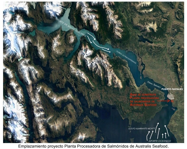 conscienciacomún tweet media