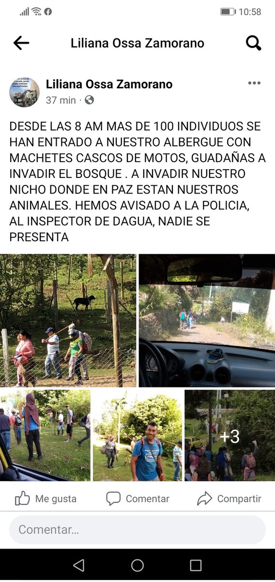 Adoptandogarri1's tweet photo. Ayuda para liliana en cali @andreanimalidad @PoliciaColombia @CaracolRadio @AlcaldiaDeCali https://t.co/sn1tZknZ3p
