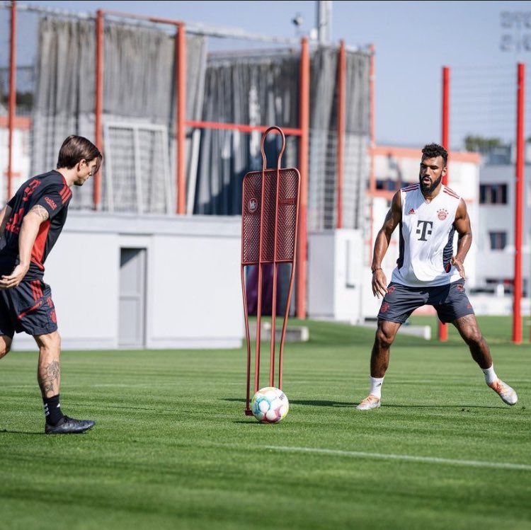 Work! 🔥🦁🇨🇲