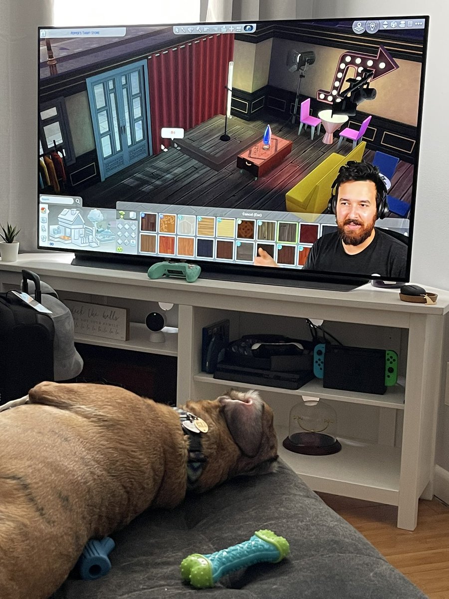 _simsjr's tweet photo. She likes @JamesTurnerYT as much as I do. https://t.co/Z0zvAEwiRm