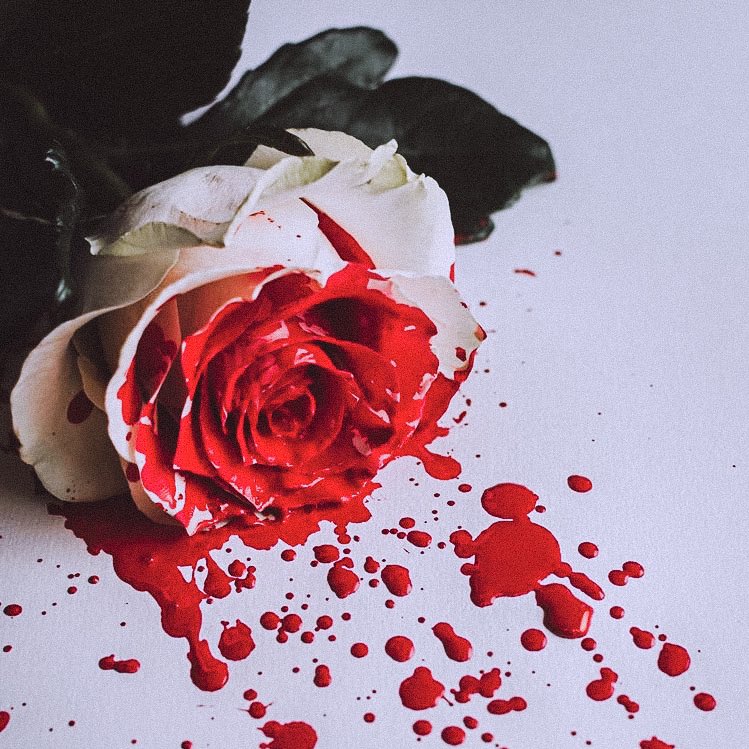 cheolliehannies's tweet photo. greek tragedy • a jc au

cali (han) is the center of attraction, and he love every second of it; taking pride as aphrodite’s son.

everyone’s head turns on his path except for one, aspho (cheol), the son of hades; and cali is eager to know why the latter doesn’t. https://t.co/ProSbhvitC